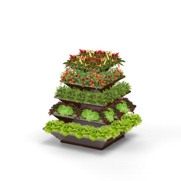 Hochbeet Rock: Mit Gemüse befüllt, ideal für Terrasse oder Garten